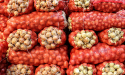 EİB Başkanı Hayrettin Uçak açıkladı:  Kuru soğan ihracatı ilk çeyrekte 15 kat arttı