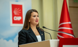 CHP’li Gökçen 2002’yi hatırlattı: Anayasa yorumu değişmez!