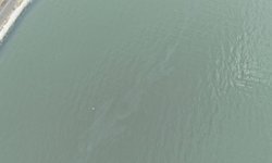 İzmir Körfezi’nde kirlilik alarmı: Aynı tehdit 11. kez görüldü