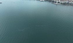İzmir Körfezi’nde 13. dış kaynaklı kirlilik vakası: Büyükşehir’den cezai işlem çağrısı