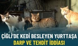 Çiğli’de kedi besleyen yurttaşa darp ve tehdit iddiası