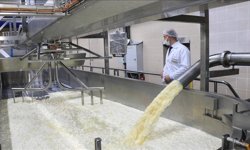 Kooperatiflerin Desteklenmesi Programı'na başvurular başladı