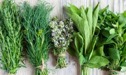 Ege otları ile sağlıklı yaşam rehberi