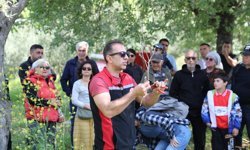 Seferihisar’da zeytin üreticilerine uygulamalı budama ve aşılama eğitimi