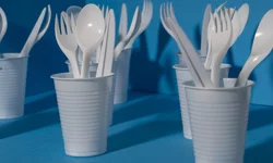 Tek kullanımlık plastik yasağı: Sektörü sarstı, belirsizlik yarattı!