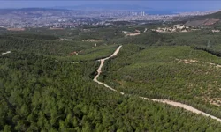 Urla’da o proje iptal: Arkeolojik sit alanına sadece 10 metre mesafedeydi