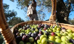 40 yıllık firma iflasın eşiğinde: BAKTAT konkortado ilan etti