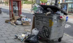 İzmir'de toplu vahşet!