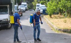 Buca Belediyesi’nden ilaçlama çalışması
