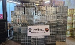 Aydın'da sahte zeytinyağı ve bal operasyonu: Şüpheliye 1 milyon 834 bin 650 lira ceza