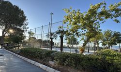 Mahalleliden 'park' iddiası: Tenis kortu için ağaç kestiler