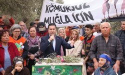Başkan Aras, Danıştay’ın Akbelen kararını değerlendirdi: Acele kamulaştırma uygulamasından derhal vazgeçilmeli
