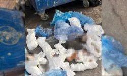 İzmir'de 33 kedi ölü bulunmuştu: Yapılan soruşturmada veteriner hekim tutuklandı