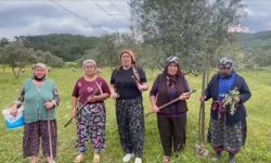 Akbelen'de 1 Mayıs'ta 'Mücadeleye devam' mesajı: Esra Işık serbest bırakılsın