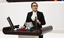 Ev kadınlarına emeklilik düzenlemesi TBMM gündeminde: CHP’li Kaya, Bakan Işıkhan’a sordu