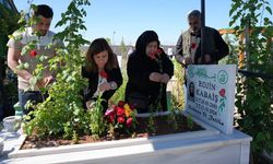 Rojin Kabaiş'in babası: Adaletin yerini bulduğu gün bizim için bayramdır!
