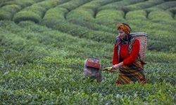 TZOB Başkanı Bayraktar’dan ‘taban fiyat’ uyarısı: Altına düşmeyin!