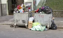İzmir’deki kedi ölümlerinde yeni perde: Tahliyeye itiraz