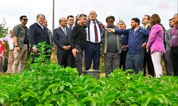 İYİ Parti Lideri Dervişoğlu Ödemiş'te üreticiyle bir araya geldi: Çiftçinin borcunu devlet kasasından ödeyeceğim
