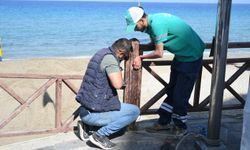 Kadınlar Denizi Plajı yaza hazır