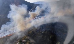 Marmaris'te yangın: Makilik ve otluk alandaki alevler kontrol altına alındı