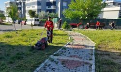 Menderes Belediyesi'nden ot biçme çalışmaları