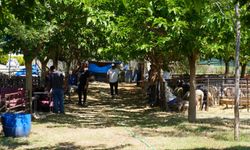 Seferihisar Belediyesi'nden bayram öncesi dayanışma çağrısı