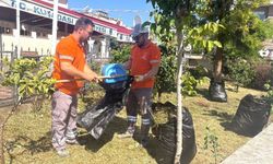 Kuşadası Belediyesi bayram öncesi yeşil alanlara bakım yapıyor