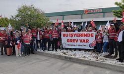 Ege Serbest Bölge'de grev: İzmir Safe Spice işçileri hakları için direnişe başladı