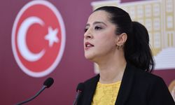 Varlık barışı Meclis'te: EMEP'li Karaca'dan 'kara milyon' uyarısı