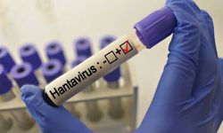 Uzman isimlerden hantavirüs uyarısı