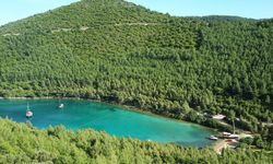 Bodrum’da talan projesine ÇED onayı: Doğal SİT alanına otel yapılacak!