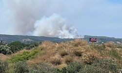 Çeşme’deki yangın kontrol altına alındı