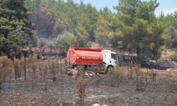 Muğla'daki orman yangını kontrol altına alındı