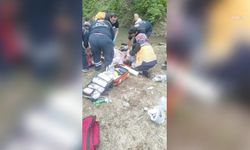 Arhavi'de serinlemek içi gölete giren iki imam hayatını kaybetti