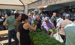 Selçuk’ta Çevre Günü hediyeli kutlandı