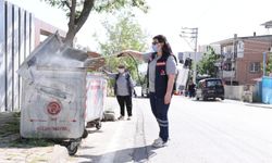 Bayraklı'da sineklere karşı yoğun savaş
