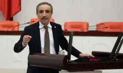 CHP'li eski milletvekili Ali Yiğit: Kabahat aslında benim!