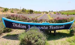 Didim’de Lavanta ve Aromaterapi Festivali 3 Temmuz’da kapılarını açıyor