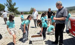 Bergama’da sıfır atık ve hayvan sevgisi bir arada