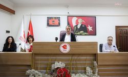 Aydın Büyükşehir kentte ilaçlama yapmıyor: Efeler Belediyesi hizmeti kendisi verecek
