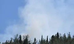 Manisa'da korkutan orman yangını: Kontrol altına alındı