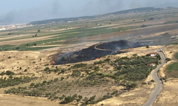 Foça’da makilik alandaki yangın kontrol altına alındı