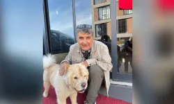 Sokak ortasından kaçırılan Karaal el ve ayakları bağlı ve darp edilmiş halde bulundu