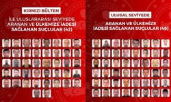 İçişleri Bakanlığı açıkladı: Aranan 90 kişi Türkiye'ye getirildi!
