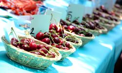 Bornova’da Kiraz Festivali başlıyor