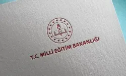 MEB duyurdu: Özel program ve proje okullarına öğretmen atama sonuçları açıklandı