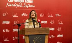 CHP İzmir Gençlik Kolları Başkanı Çelik istifa etti