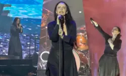 Türk rock müziğinin kraliçesi Şebnem Ferah yeniden sahnede