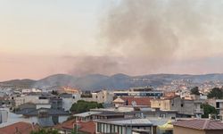 Seferihisar'da makilik alanda çıkan yangın kontrol altına alındı